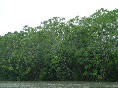 DSCF2965.JPG