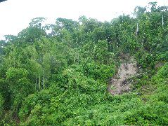 DSCF2967.JPG