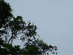 DSCF2969.JPG