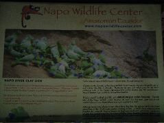 DSCF2970.JPG