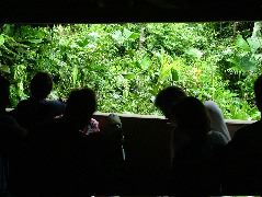 DSCF2972.JPG