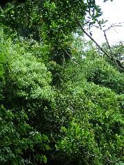 DSCF2977.JPG