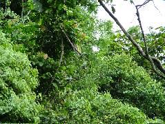 DSCF2981.JPG