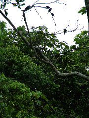 DSCF2986.JPG