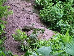 DSCF2991.JPG