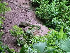 DSCF2992.JPG