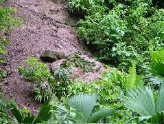 DSCF2994.JPG