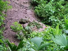 DSCF2995.JPG