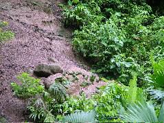 DSCF2997.JPG