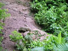 DSCF2998.JPG