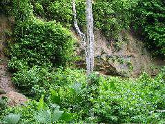 DSCF2999.JPG