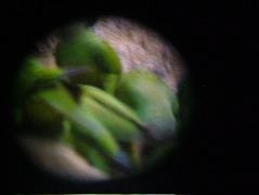 DSCF3000.JPG
