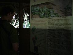DSCF3002.JPG