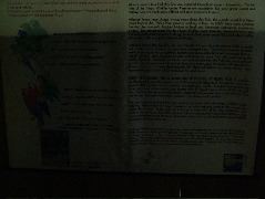 DSCF3003.JPG