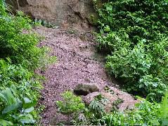 DSCF3007.JPG
