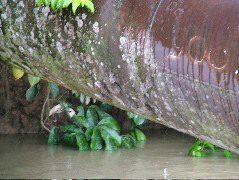 DSCF3012.JPG