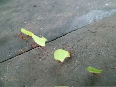 DSCF3019.JPG
