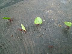 DSCF3021.JPG