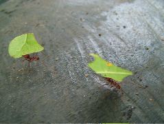 DSCF3031.JPG