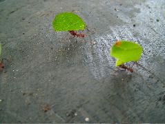 DSCF3032.JPG