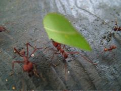 DSCF3033.JPG