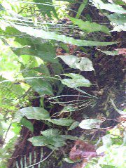 DSCF3034.JPG