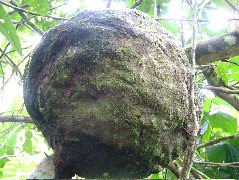 DSCF3035.JPG