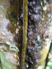 DSCF3039.JPG
