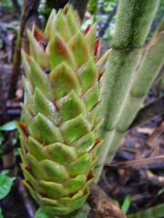 DSCF3045.JPG