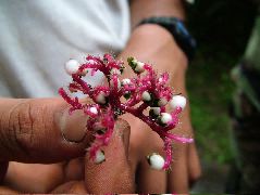 DSCF3051.JPG