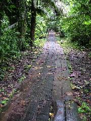 DSCF3053.JPG