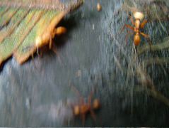DSCF3054.JPG