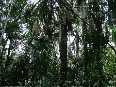DSCF3055.JPG