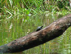 DSCF3056.JPG