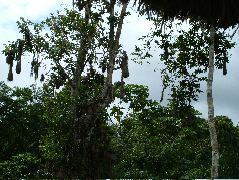 DSCF3057.JPG