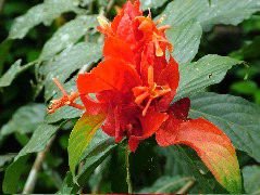 DSCF3058.JPG
