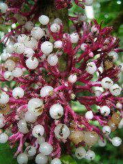 DSCF3061.JPG