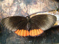 DSCF3070.JPG