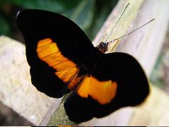 DSCF3072.JPG