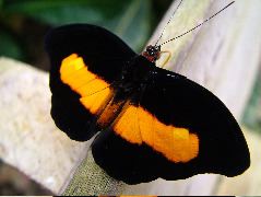DSCF3073.JPG