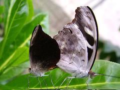 DSCF3074.JPG