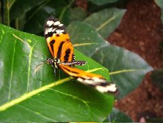 DSCF3086.JPG