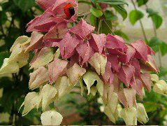 DSCF3088.JPG