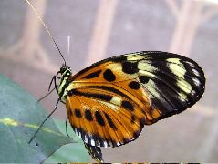 DSCF3090.JPG