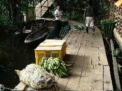DSCF3099.JPG