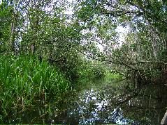 DSCF3105.JPG