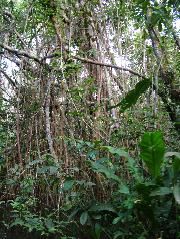 DSCF3108.JPG