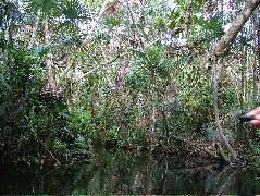 DSCF3109.JPG