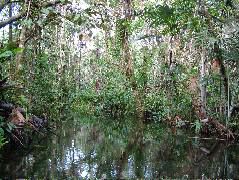DSCF3110.JPG