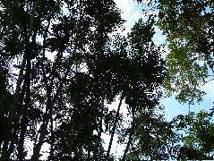 DSCF3111.JPG